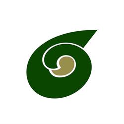OLIO PAPALEO
