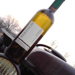 Azienda Agricola Bertoldi - Produzione Vini Tipici e Doc