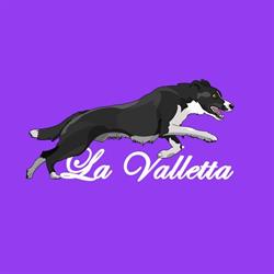 "La Valletta" Scuola Cinofila