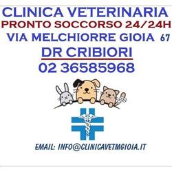 Clinica Veterinaria e Pronto Soccorso Dr. Pirovini - Milano
