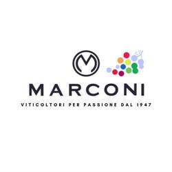 Marconi Vini
