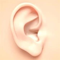 Audiophon Apparecchi Acustici Massa Carrara