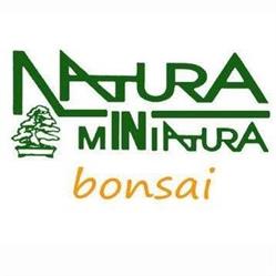 Bonsai Natura In Miniatura
