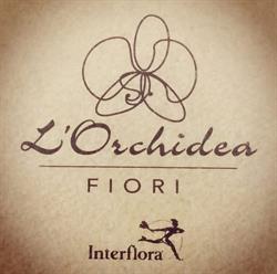 L'Orchidea Fiori e Piante