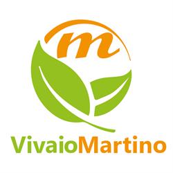 Martino Sergio