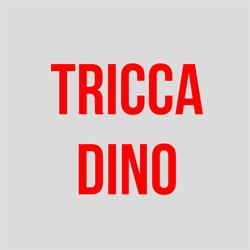Tricca Dino & C. Snc