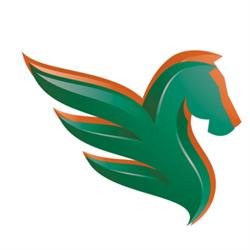 Pegaso Servizi