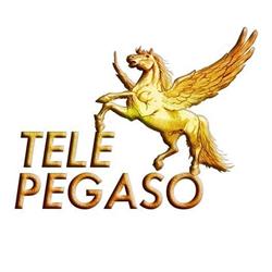 Tele Pegaso