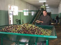 Azienda Agricola Maida