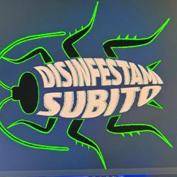 Disinfestami Subito Disinfestazione Derattizzazione Deblattizzazione Torino e Province