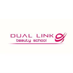 Dual Link