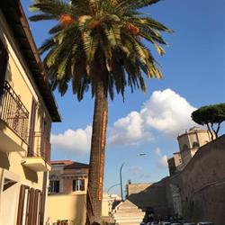 Casa di Accoglienza Paolo VI