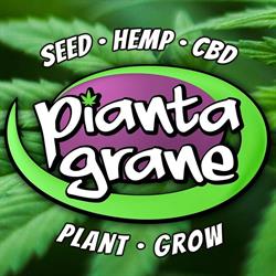 Piantagrane - Orto Grow Hemp CBD
