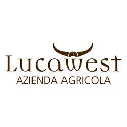 B&B Il Castello di Lucawest