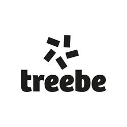 Treebe - Consulenza informatica