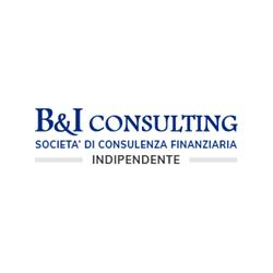 B&I Consulting SCF