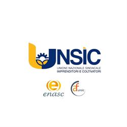 Unsic Provinciale Brescia