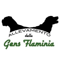 Centro Cinofilo Gens Flaminia