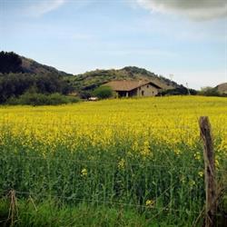 Agriturismo La Baita