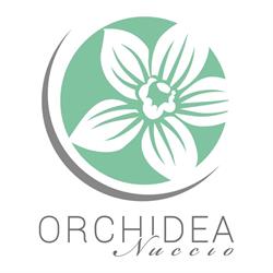 Fioraio & Allestimenti Cerimonie - Orchidea Nuccio