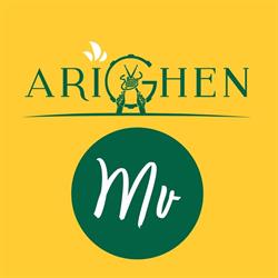 Arighen Gyoza Bar - Montevarchi