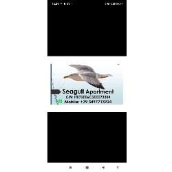 Seagull Apartments Bari Sea & Airport