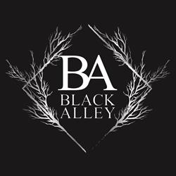 Black Alley Studio