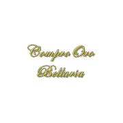 Compro Oro e Argento Rimini - BellariaOro