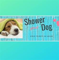 Shower Dog Udine