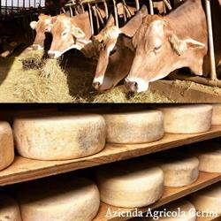 AZIENDA AGRICOLA CERINI