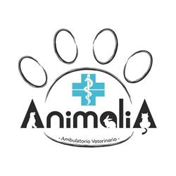 Ambulatorio Veterinario Associato ANIMALIA dei dottori Memmi - Manuguerra
