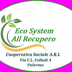 Eco System All Recupero