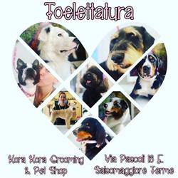 Kora Kora Pet Shop BARF