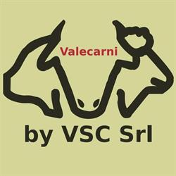 Valecarni by VSC srl