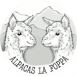 Alpacas la Foppa