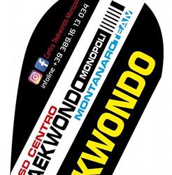 ASD CENTRO TAEKWONDO MONOPOLI - MONTANARO TEAM