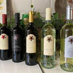 Azienda agricola Pieni Vini e Vigneti