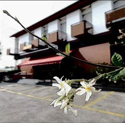 Hotel Tre Santi