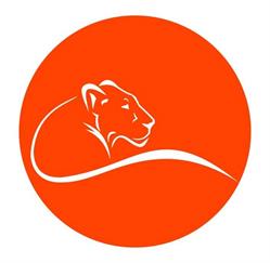 LIONA - consulenza marketing