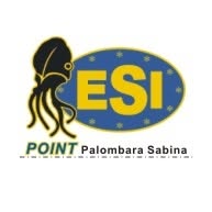 DIEMME Easy Food - ESI Surgelati
