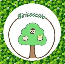 Asilo Nido e scuola infanzia bilingueBiricoccolo