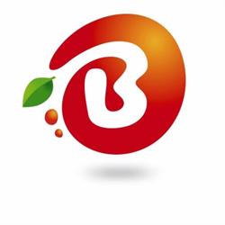 Blasutto Frutta srl