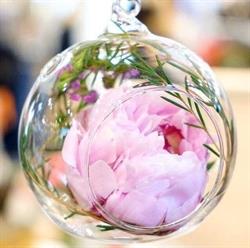 I Fiori di Chiara