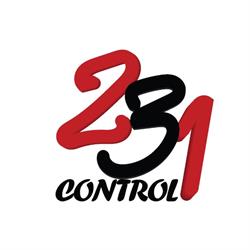 231Control - Consulenza D. lgs. n. 231/01