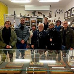 Museo di Scienze Naturali Alvise Comel