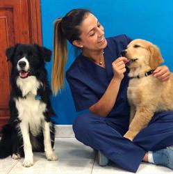 Ambulatorio Veterinario Associato Dr.ssa Bandiera Dott.ssa Usai