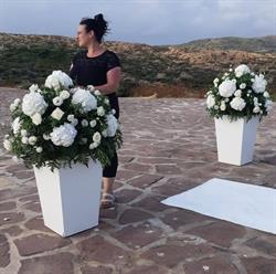 Oasi fiori e piante