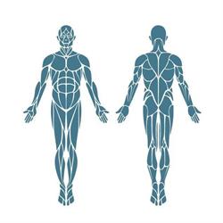 Vertical Clinic - Pier Alberto Bressan Fisioterapia