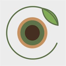 Caponi - Olive Ascolane