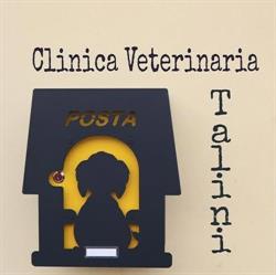 Clinica Veterinaria Talini